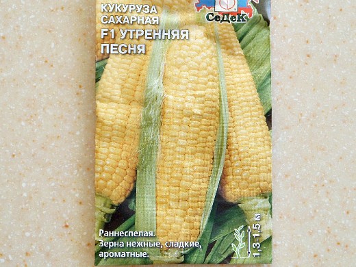 Лучшие сорта кукурузы для любых регионов России